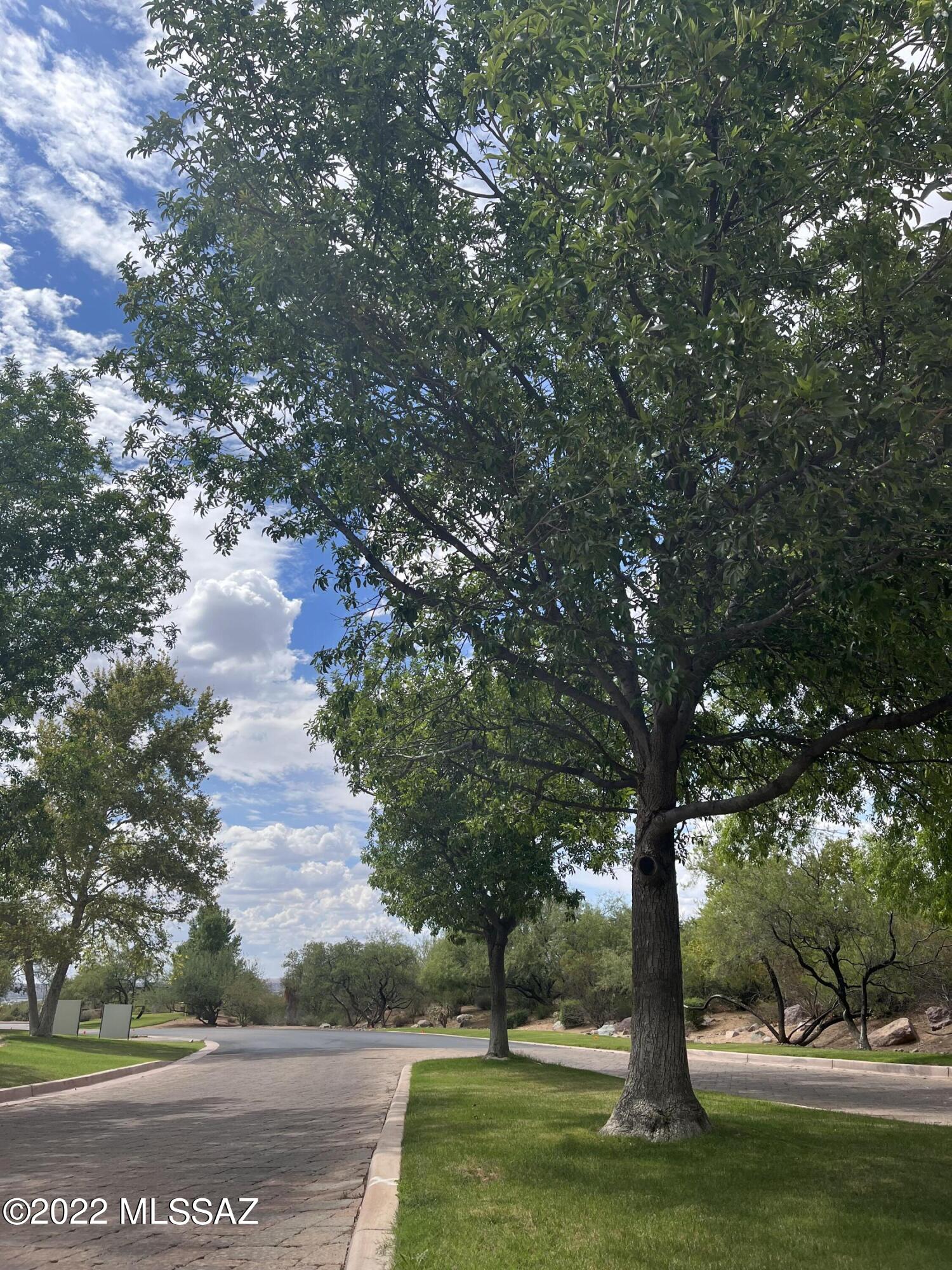 172 North Rustic Ridge Place, Unit 35 Sahuarita, AZ 85629 - Photo 14 of 14