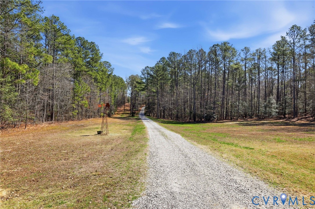 12418 Nash Road Chesterfield, VA 23838 - Photo 3 of 68