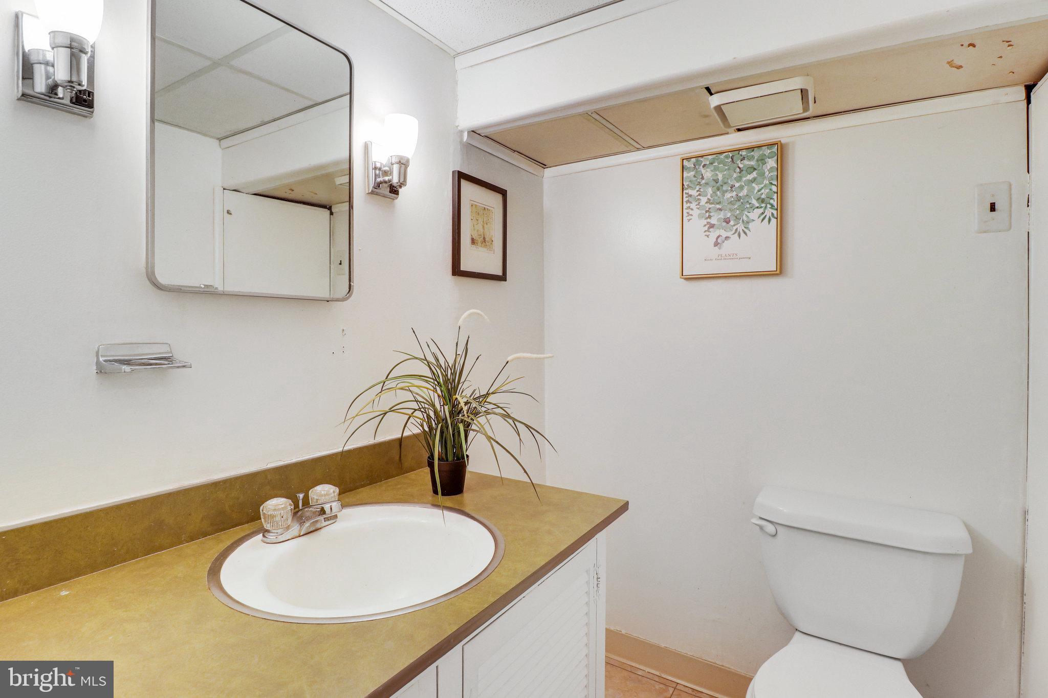 9818 Laurel Street Fairfax, VA 22032 - Photo 38 of 65 Powder room