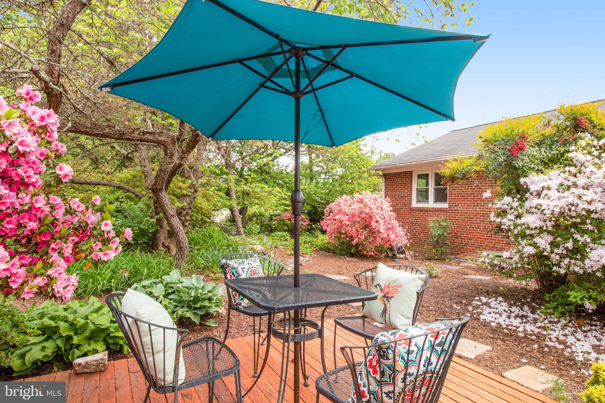 9818 Laurel Street Fairfax, VA 22032 - Photo 47 of 65 Patio area and rear of home