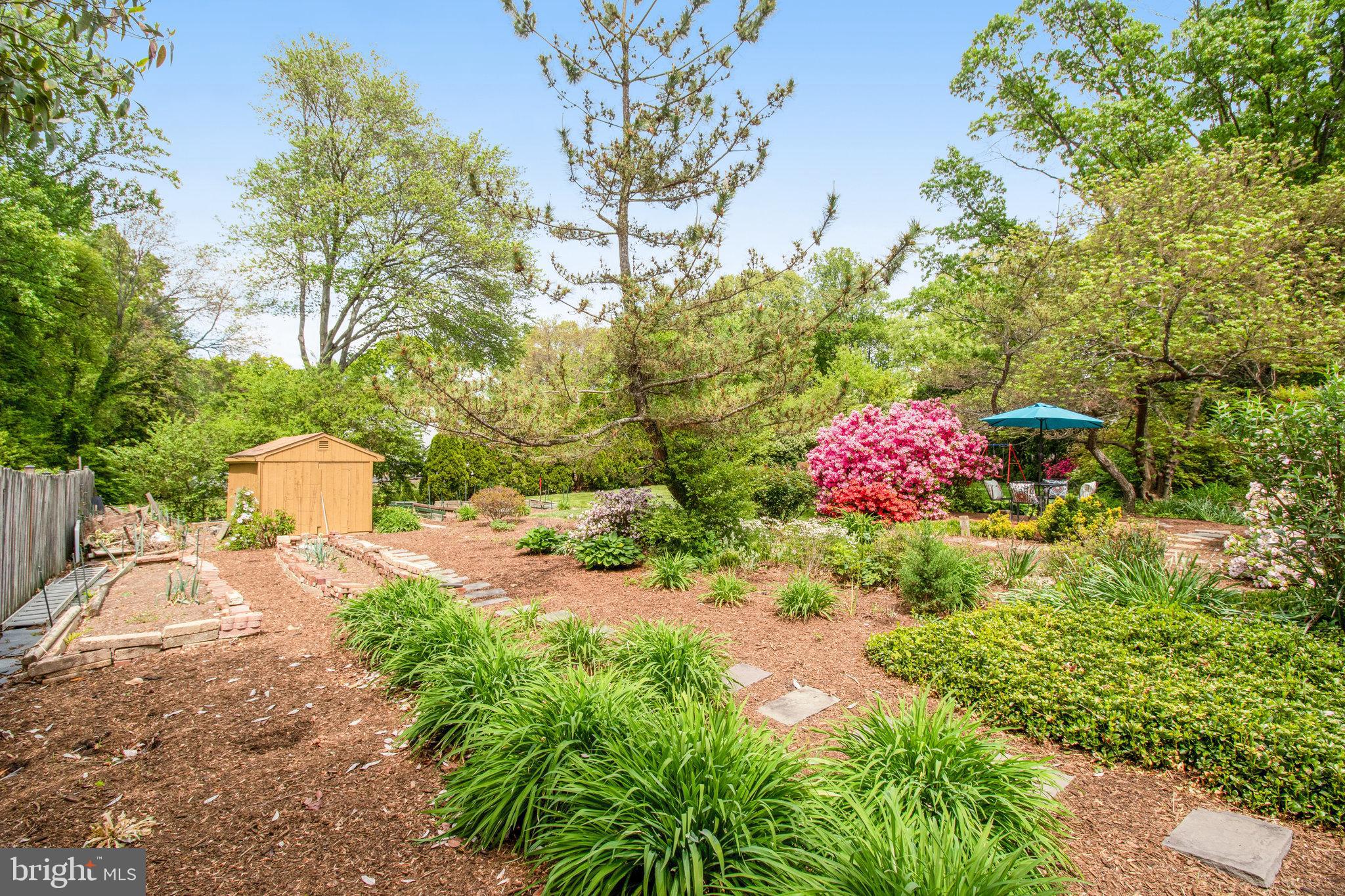 9818 Laurel Street Fairfax, VA 22032 - Photo 48 of 65 rear yard