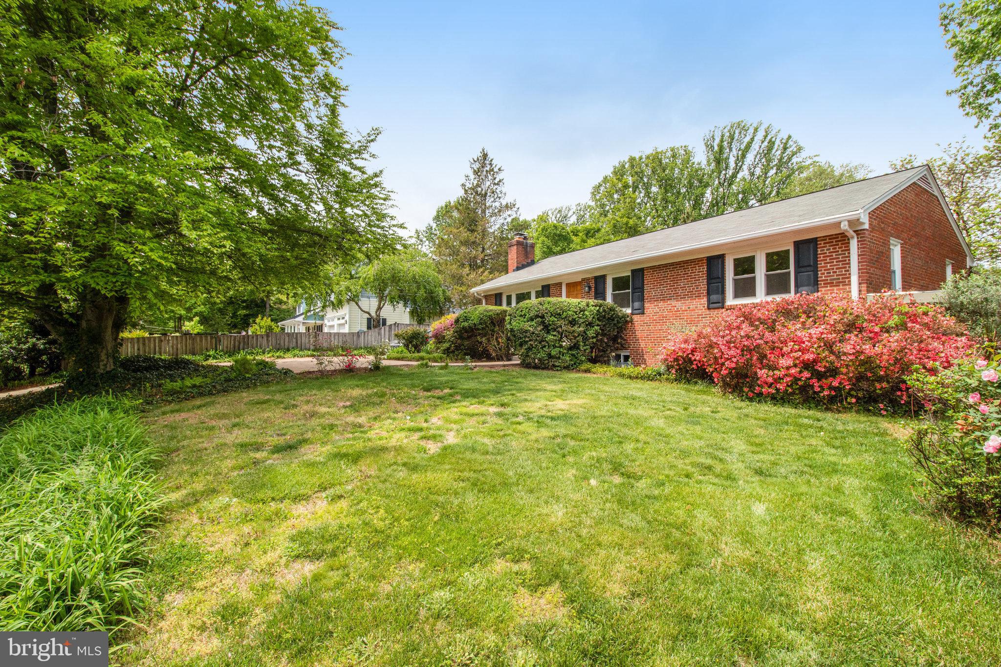 9818 Laurel Street Fairfax, VA 22032 - Photo 5 of 65 Front yard