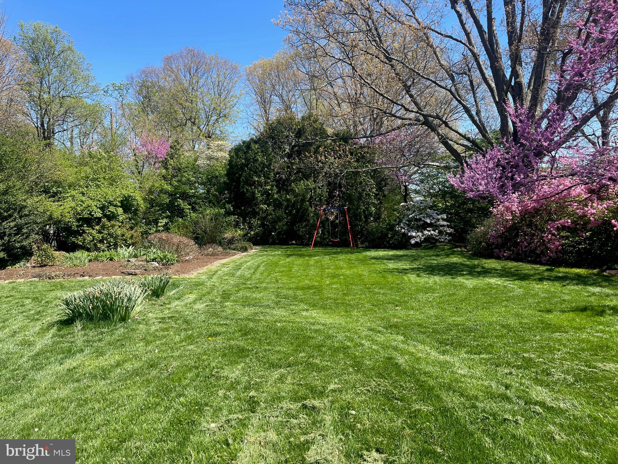 9818 Laurel Street Fairfax, VA 22032 - Photo 52 of 65 Yard
