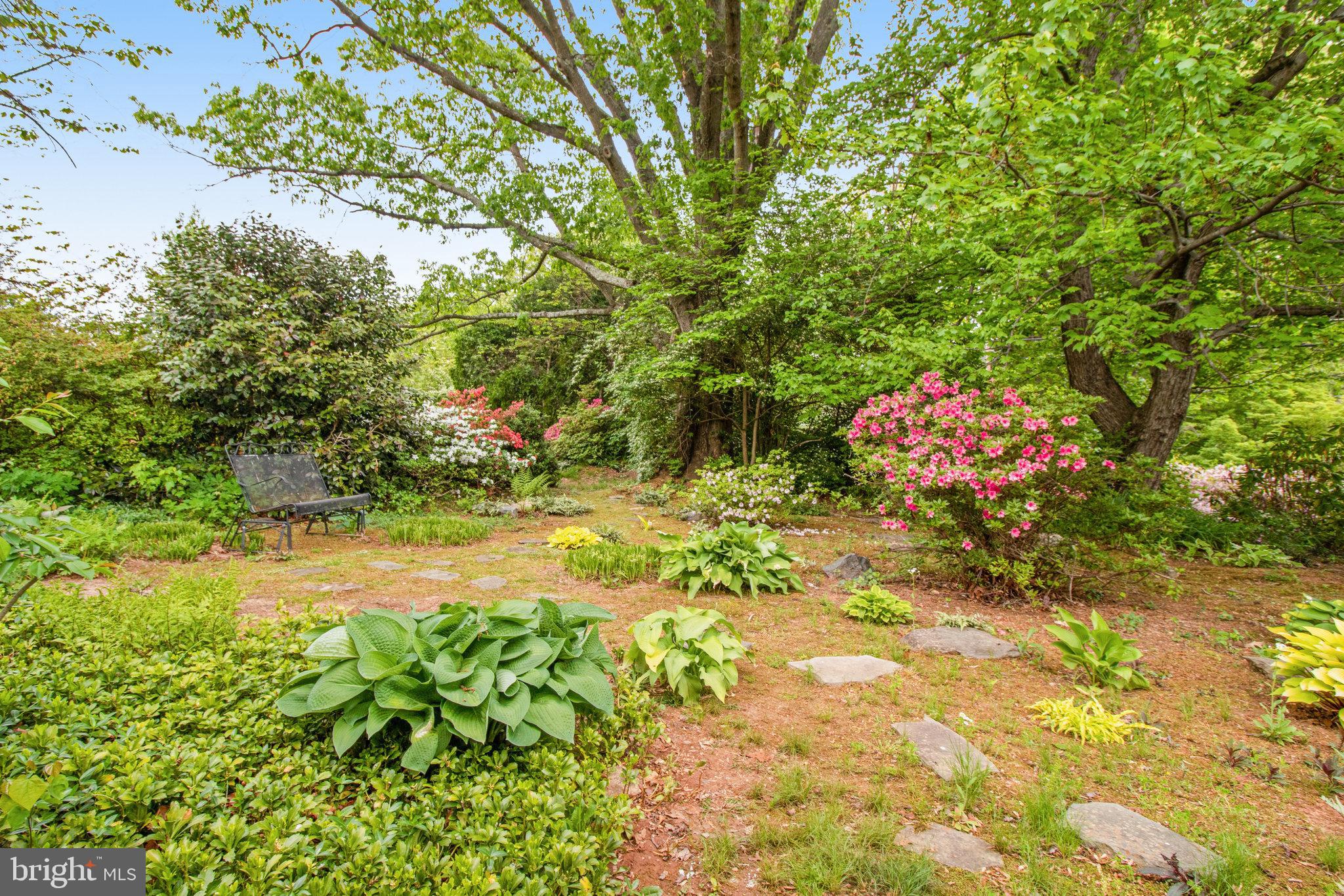 9818 Laurel Street Fairfax, VA 22032 - Photo 56 of 65 More walkway