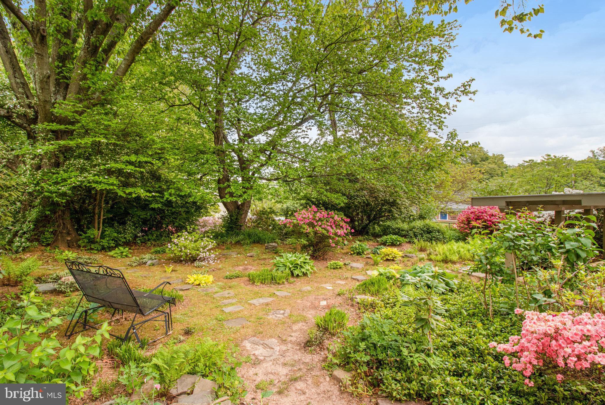 9818 Laurel Street Fairfax, VA 22032 - Photo 61 of 65 Yard