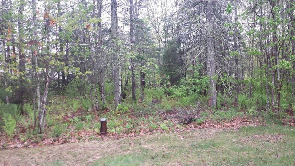76 Firehouse Lane Unity, ME 04988 - Photo 22 of 23 Photo