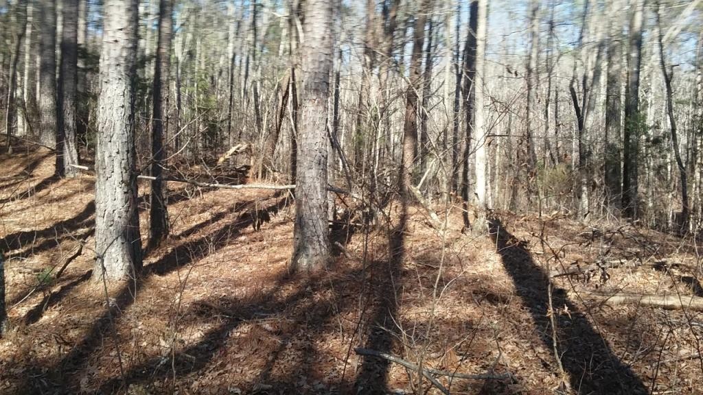 0 Gribble Road Maryville, TN 37803 - Photo 10 of 32 Gallery Image 10