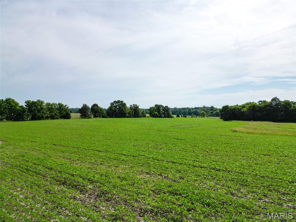 27248 Stamer Road Wright City, MO 63390 - Photo 22 of 24