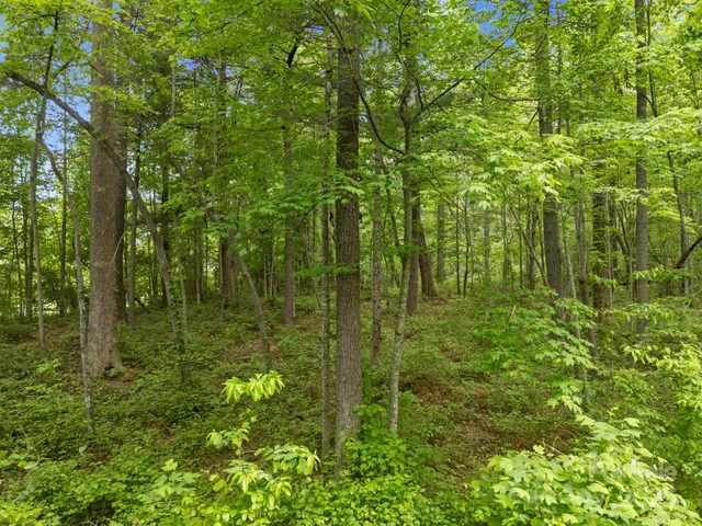 $165,000 | 0 Red Fox Lane, Unit 18, Flat Rock, NC 28731