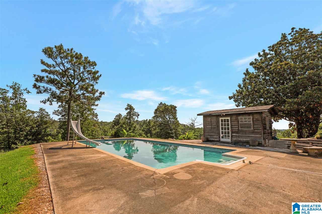 335 Arabian Road Columbiana, AL 35051 - Photo 16 of 28
