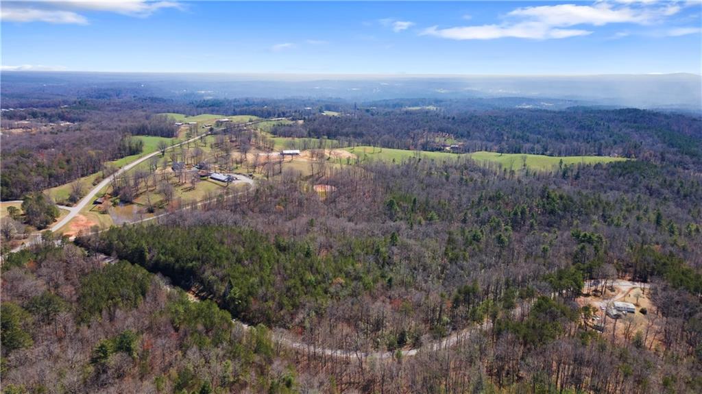 0 Afton Road, Unit 2 Marble Hill, GA 30148 - Photo 4 of 22