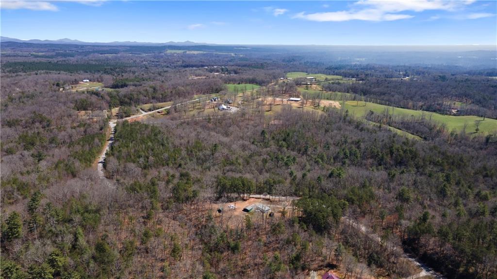 0 Afton Road, Unit 2 Marble Hill, GA 30148 - Photo 9 of 22