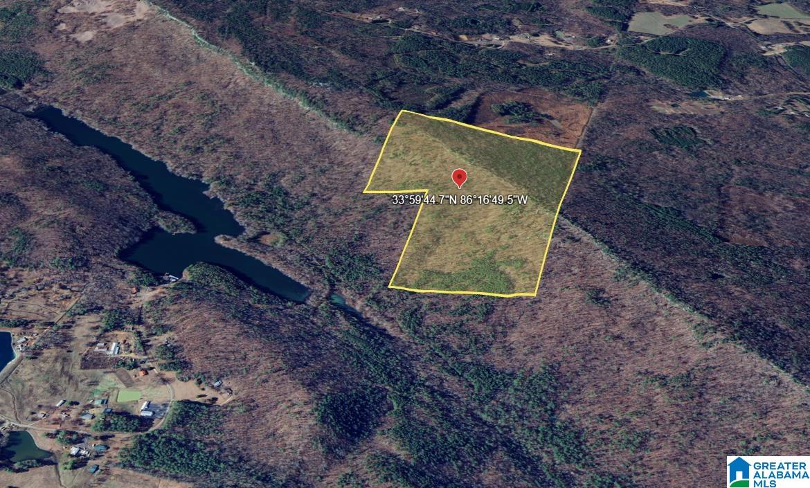0 Buzzard Rock Road Gallant, AL 35972 - Photo 4 of 4