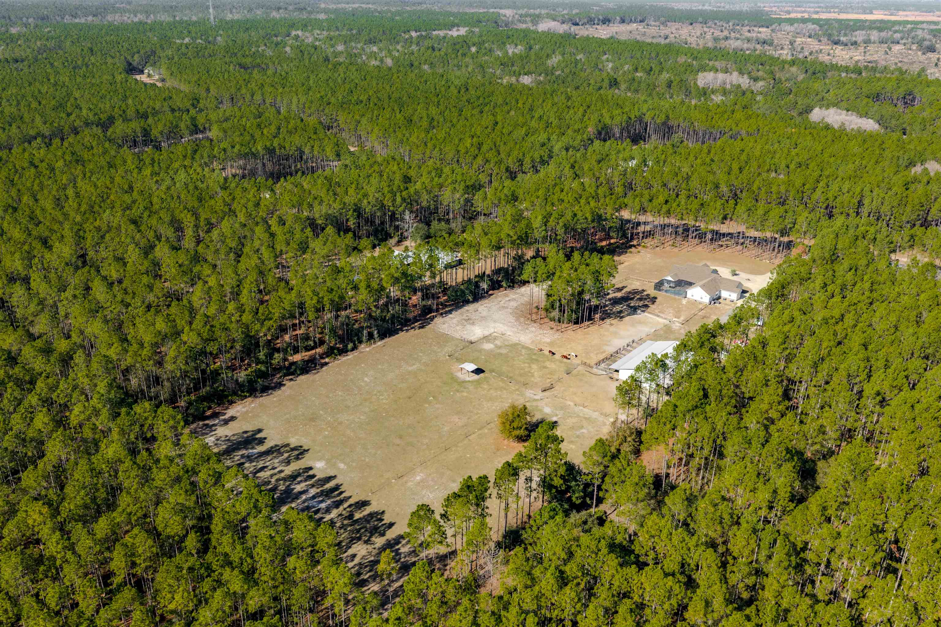 6939 Ranch Club Road Tallahassee, FL 32305 - Photo 46 of 69