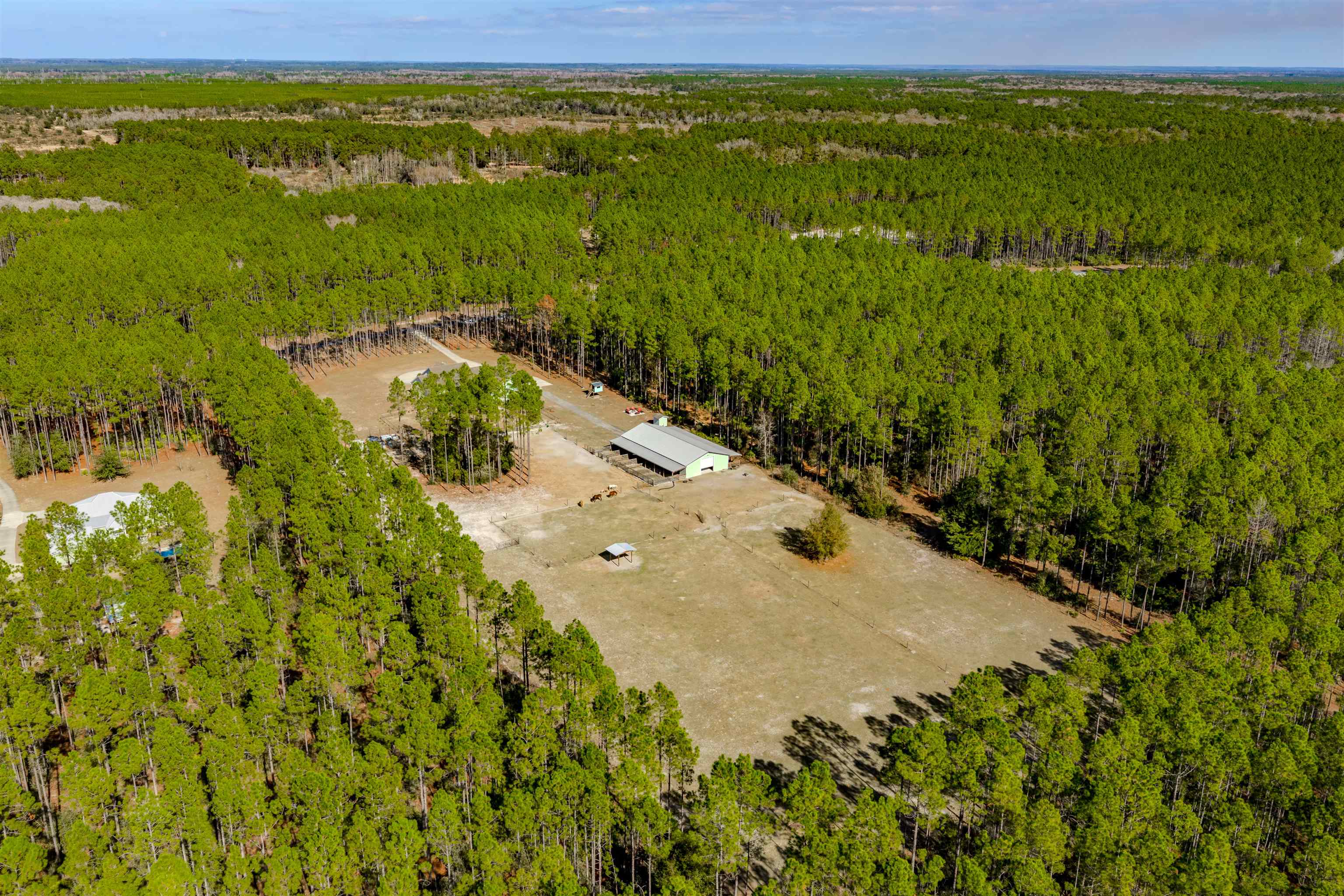 6939 Ranch Club Road Tallahassee, FL 32305 - Photo 47 of 69