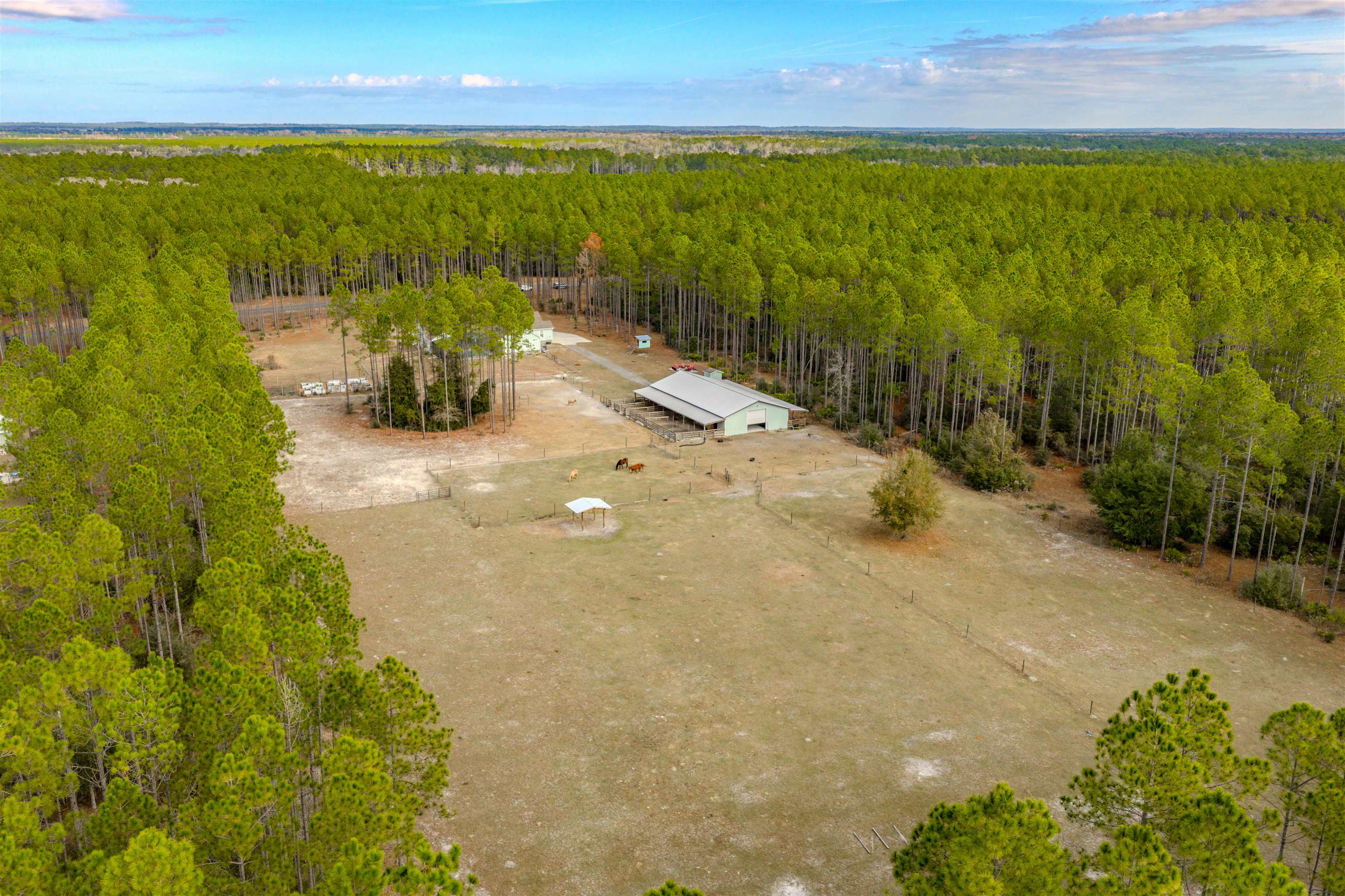 6939 Ranch Club Road Tallahassee, FL 32305 - Photo 48 of 69