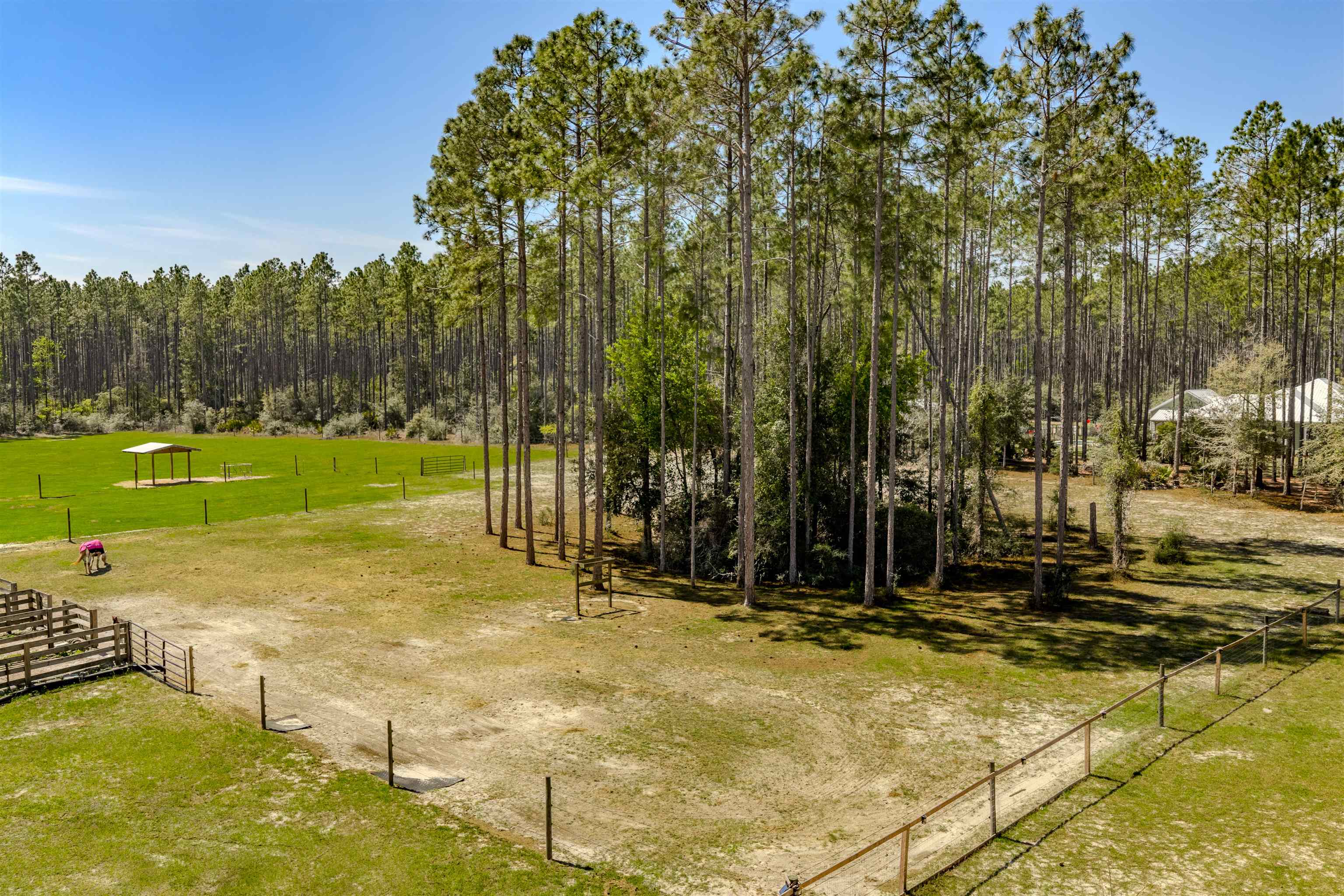 6939 Ranch Club Road Tallahassee, FL 32305 - Photo 62 of 70