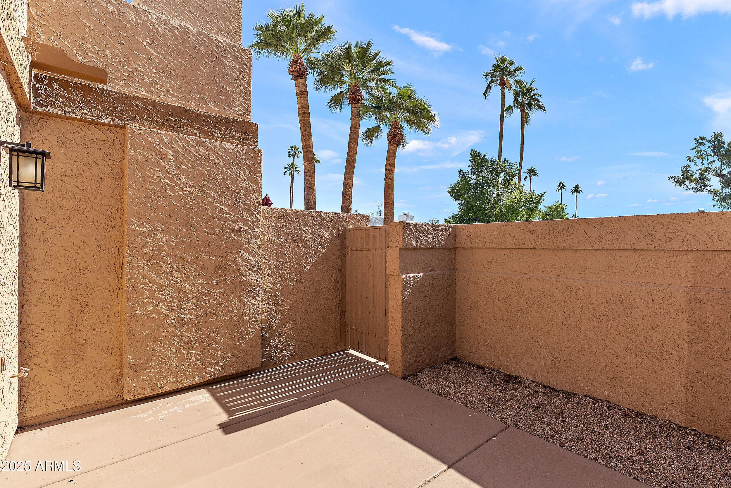 1319 East Susan Lane Tempe, AZ 85288 - Photo 19 of 23 a view of a backyard