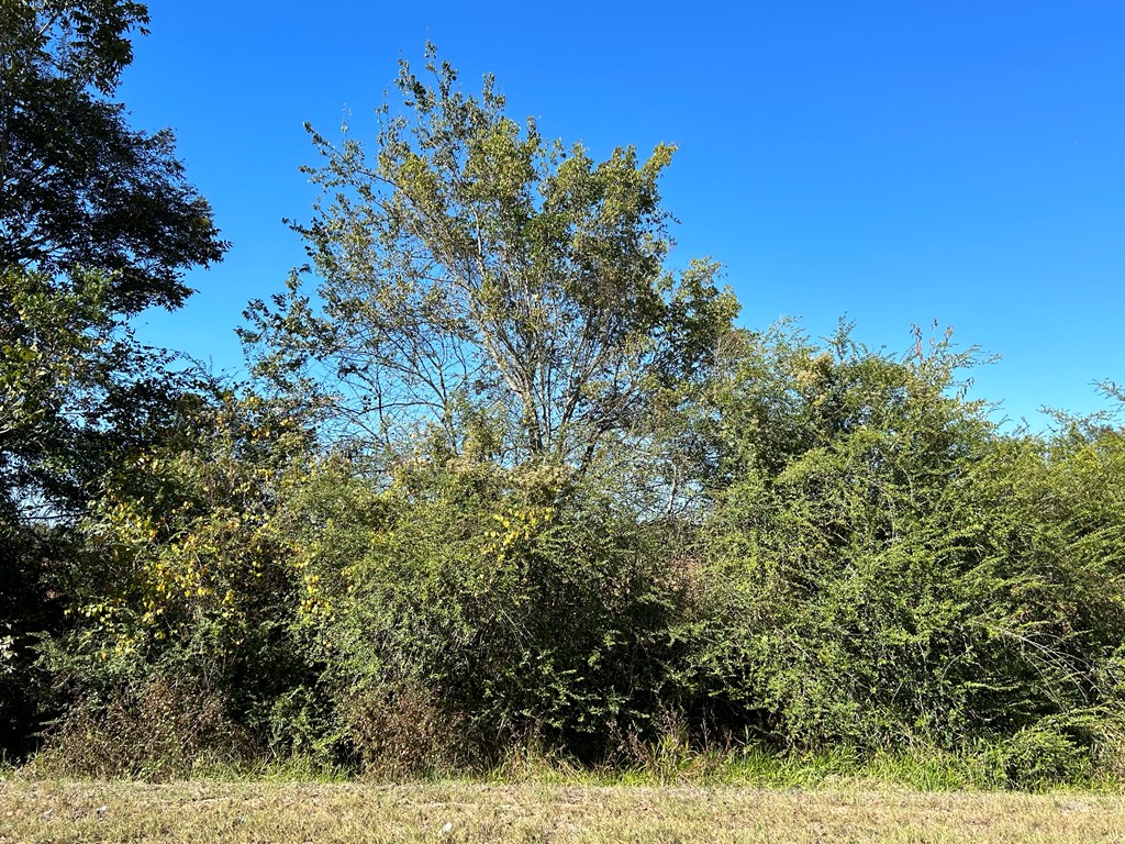 5-ac 5-ac Road Cottonwood, AL 36320 - Photo 7 of 23