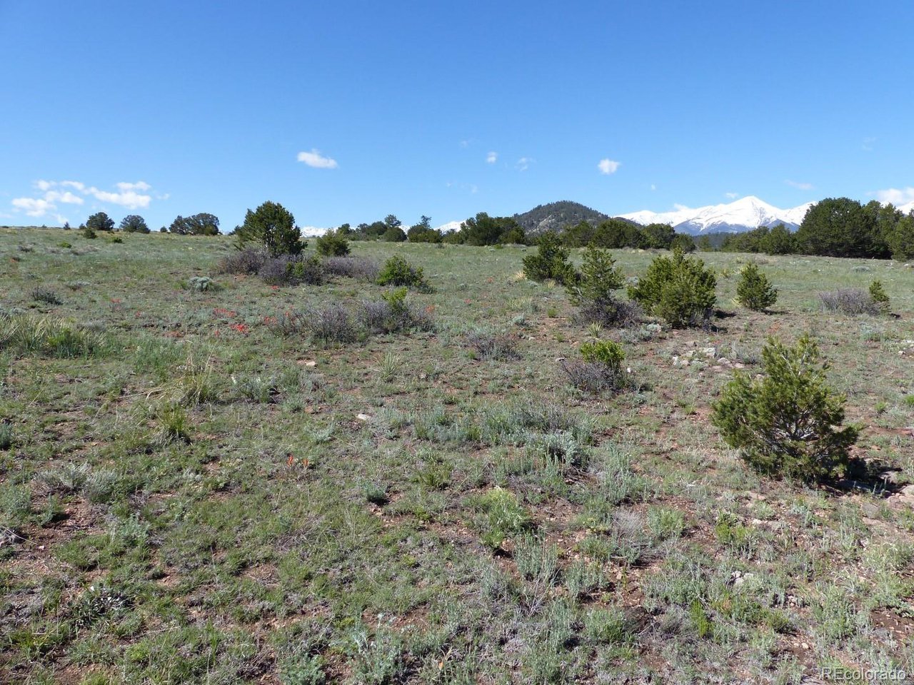 45 Round Up Road Westcliffe, CO 81252 - Photo 15 of 26 Gallery Image 15