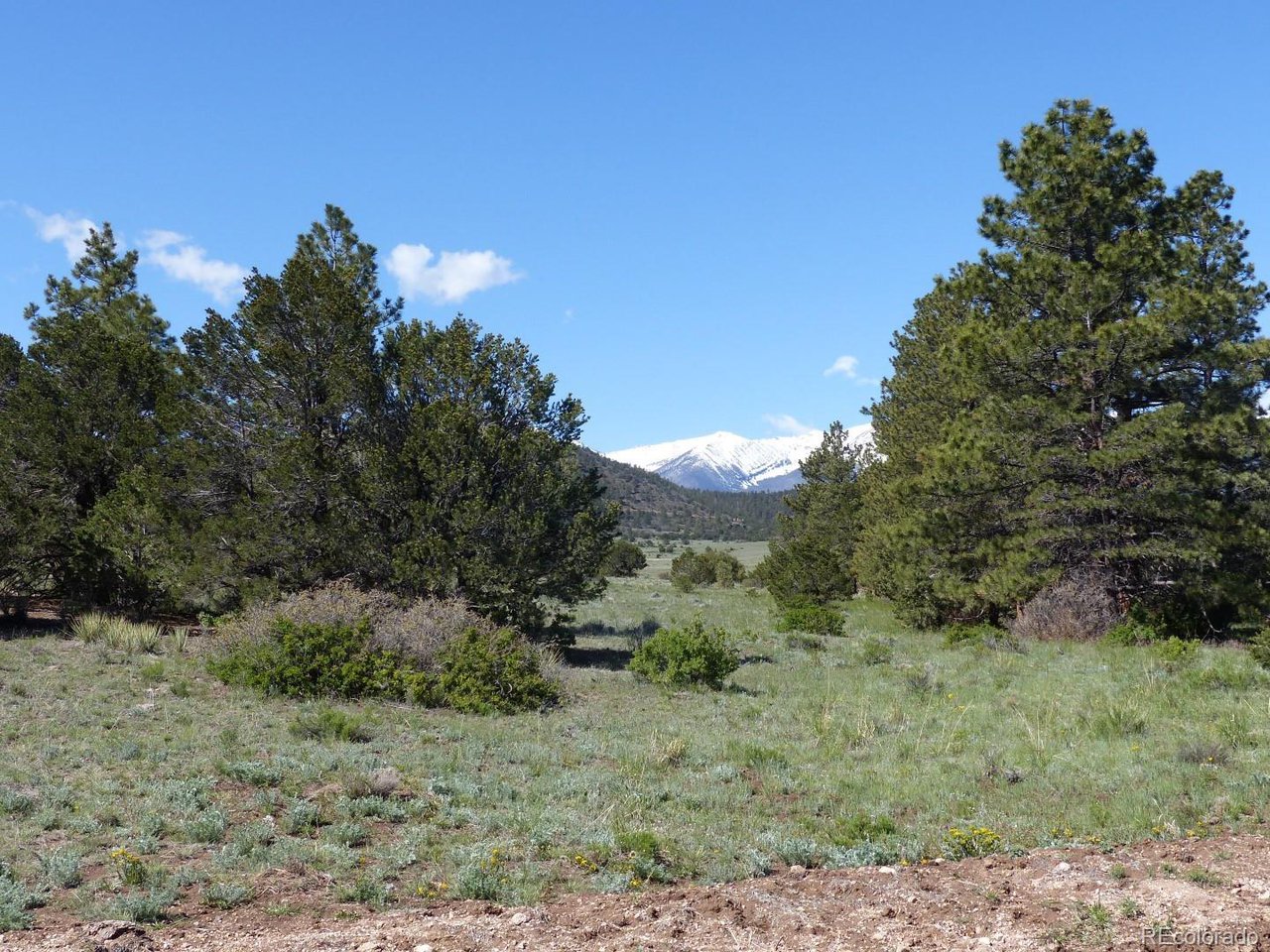 45 Round Up Road Westcliffe, CO 81252 - Photo 25 of 26 Gallery Image 25