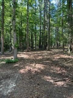 46 Davis Road Hiram, GA 30141 - Photo 13 of 17 a view of outdoor space with trees