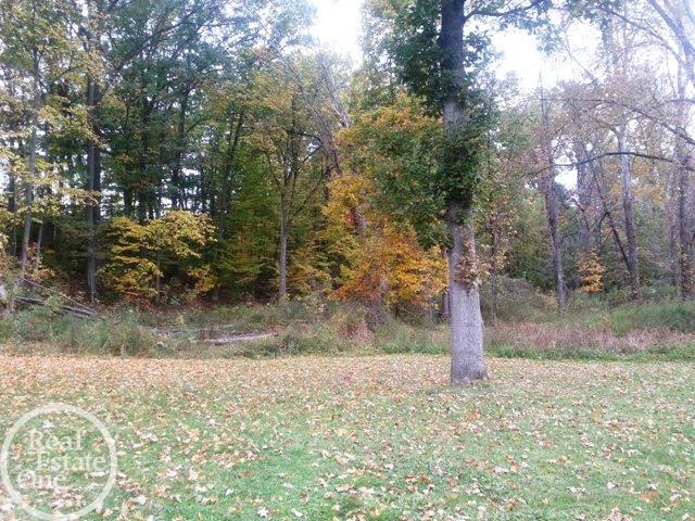 54095 Baker Road New Baltimore, MI 48047 - Photo 54 of 57
