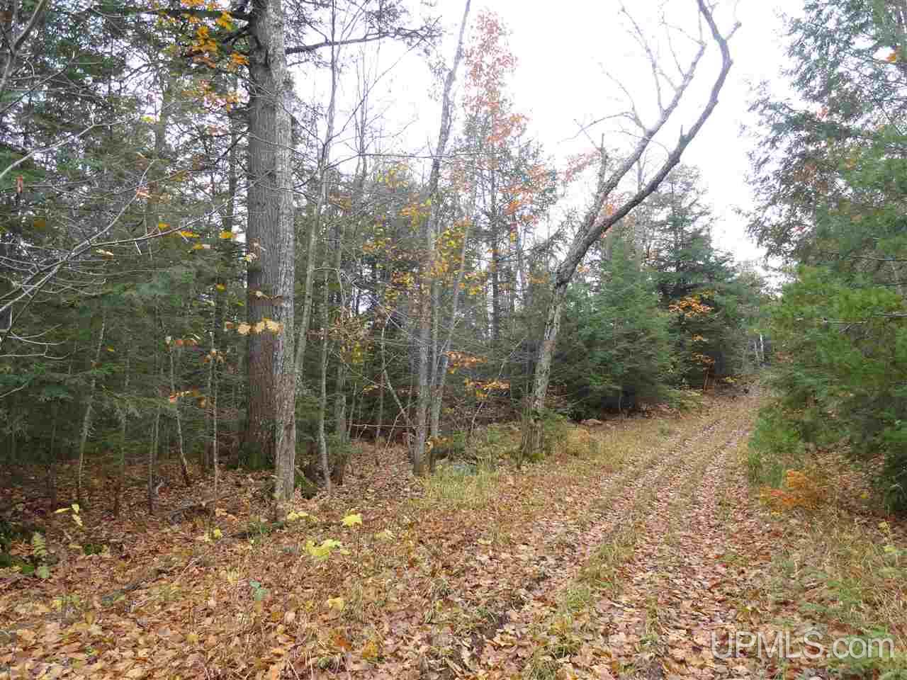 510 Rd Marquette Mi 49855 Road Negaunee, MI 49866 - Photo 22 of 26