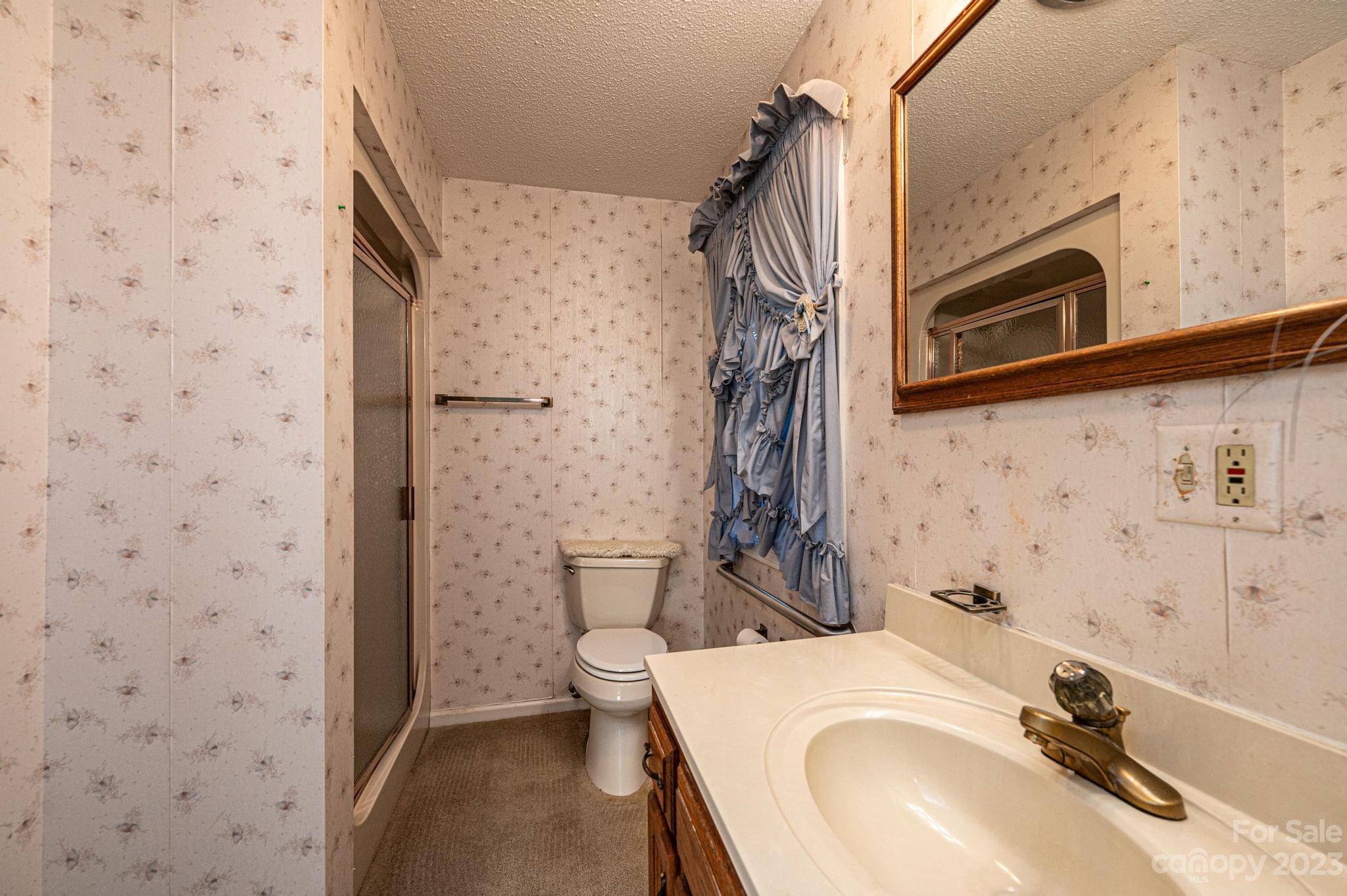 837 White Plains Road Hiddenite, NC 28636 - Photo 17 of 46 a bathroom with a sink and a mirror