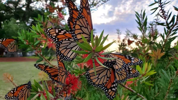 $10,800,000 | 620 El Salto Drive, Capitola, CA 95010