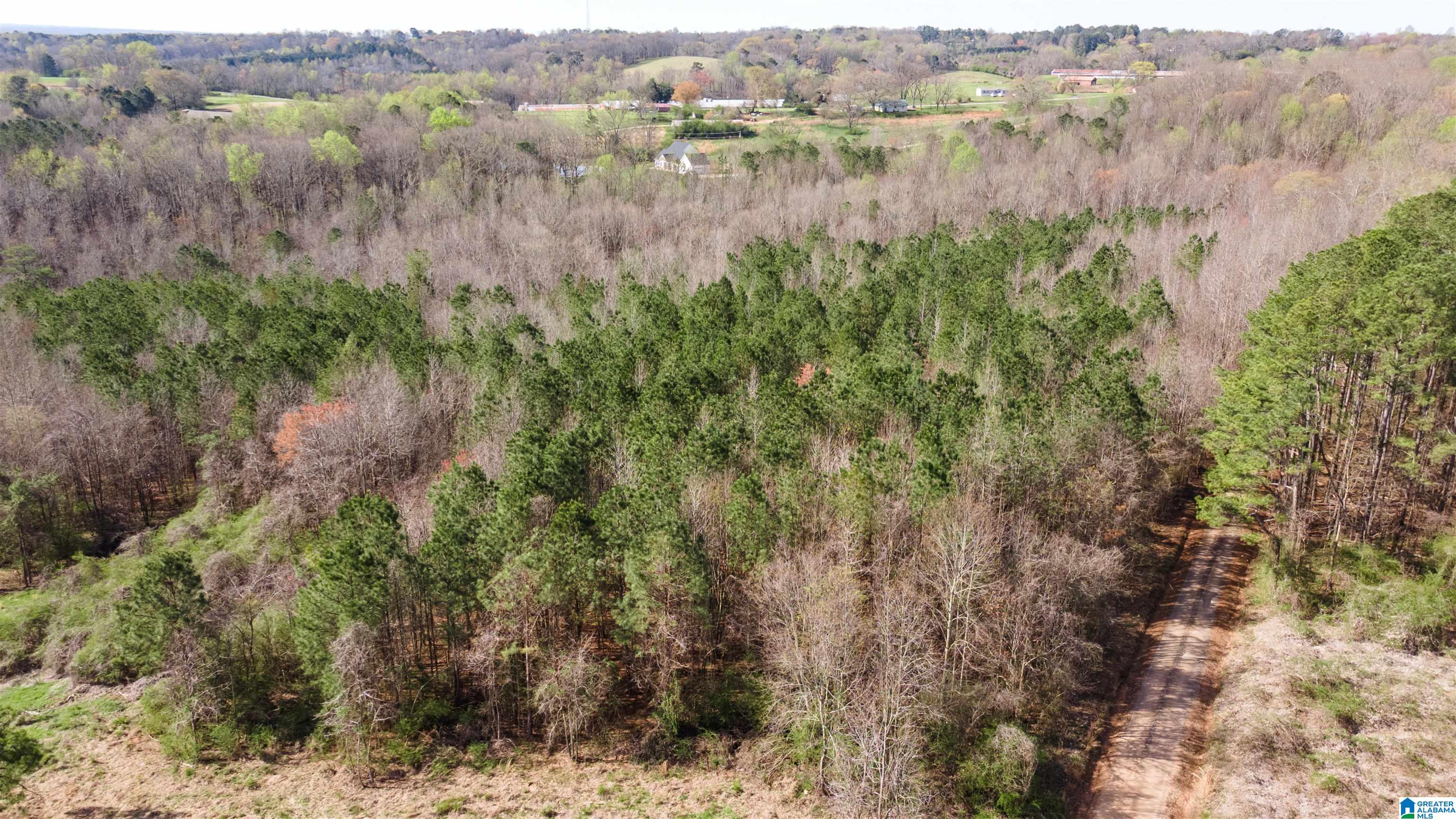 0 County Road 670, Unit 1 Ranburne, AL 36273 - Photo 11 of 18