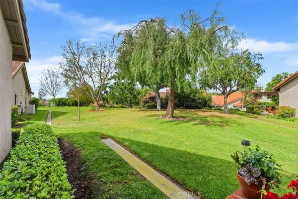 a view of a garden with a tree