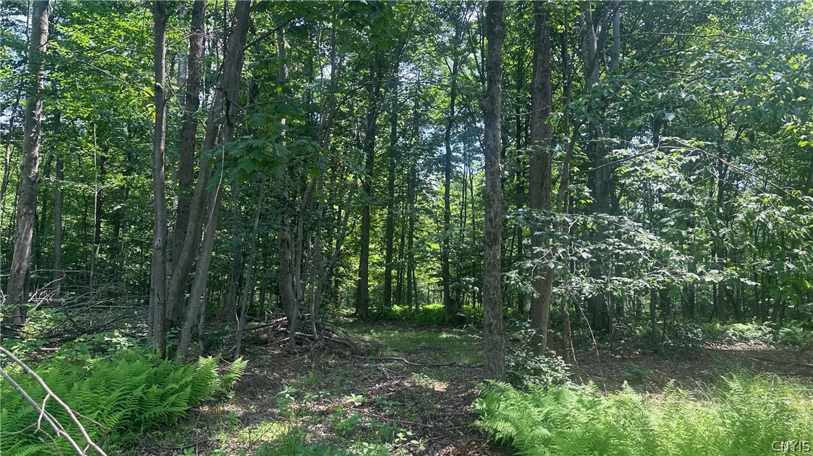 137 Windham Road Smithville, NY 13778 - Photo 16 of 20