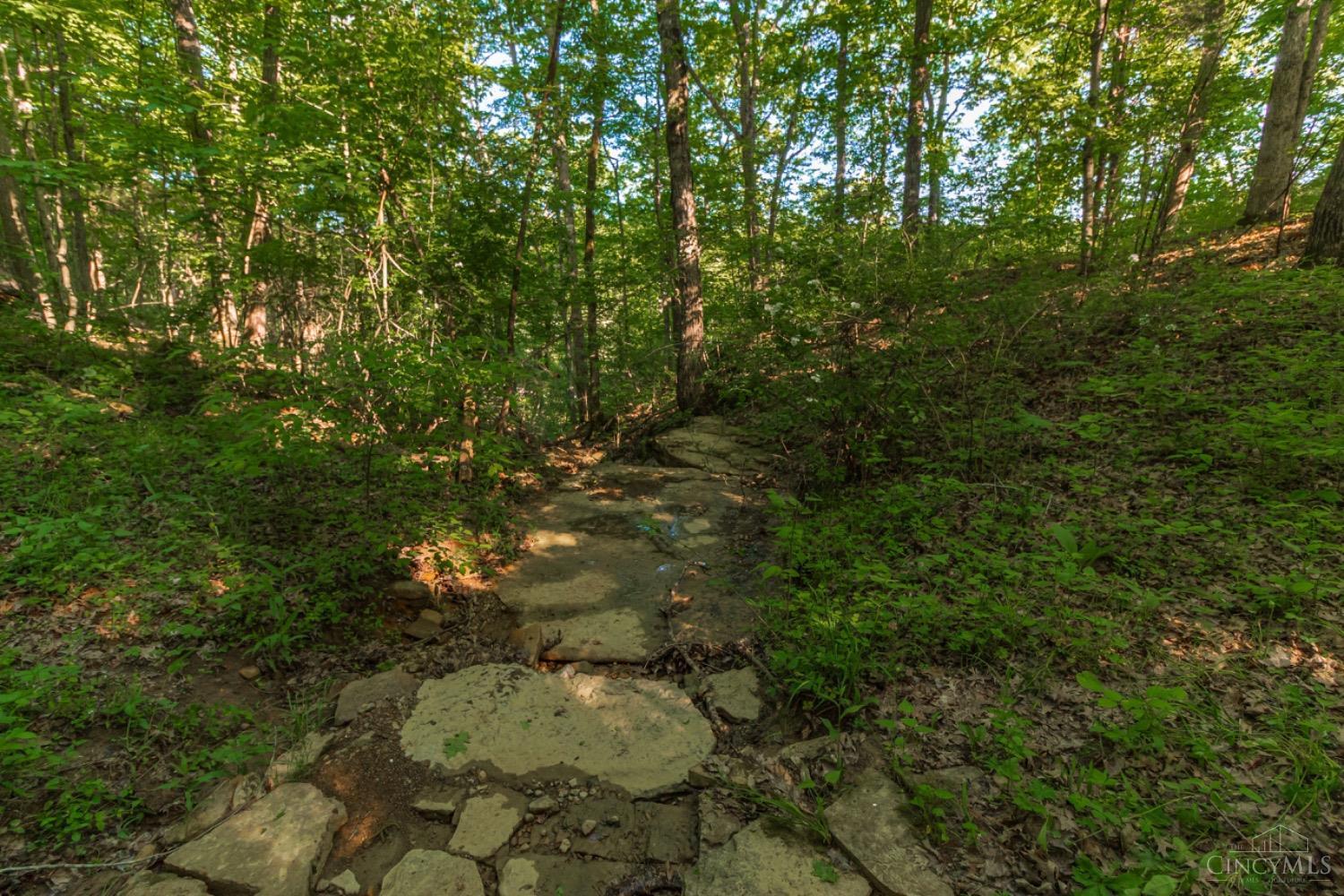 700 Lick Run Road West Union, OH 45693 - Photo 48 of 96 Gallery Image 48