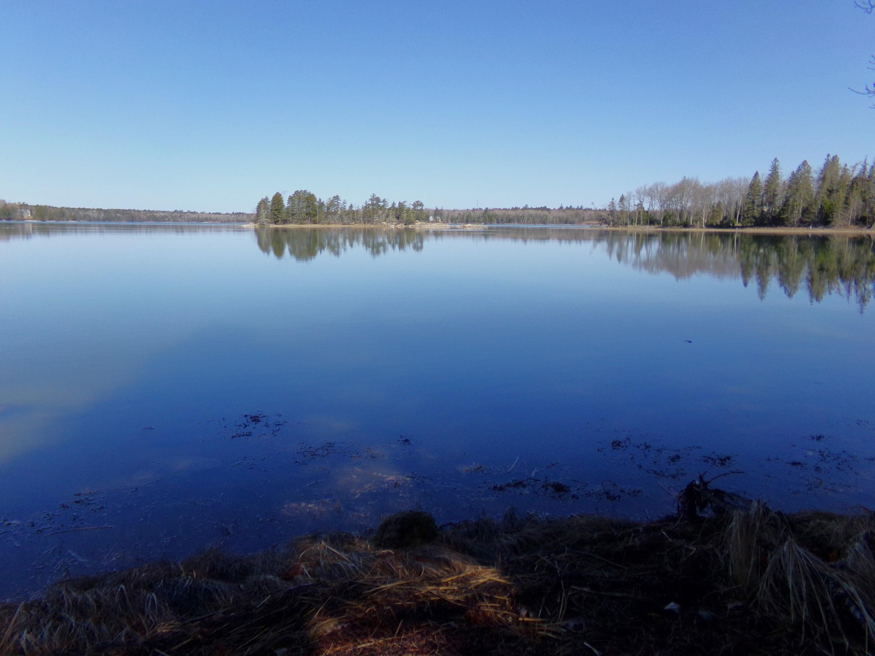 Lot 3 Rogers Point Road Steuben, ME 04680 - Photo 10 of 12