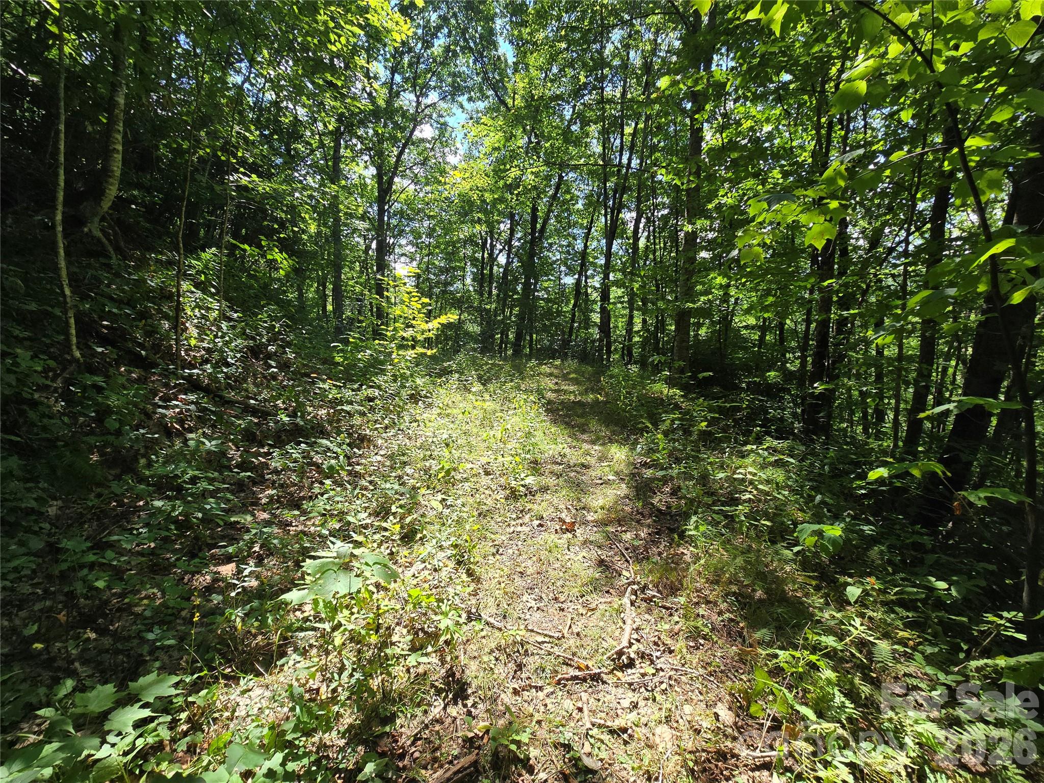 24 Tater Patch Road Maggie Valley, NC 28751 - Photo 19 of 29 Gallery Image 19