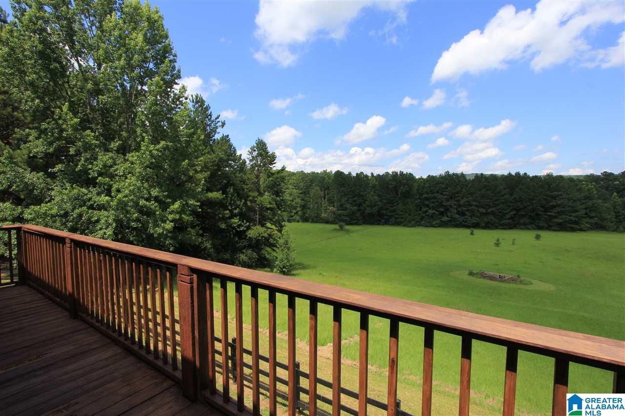 286 Hollingsworth Road Jacksonville, AL 36265 - Photo 17 of 50