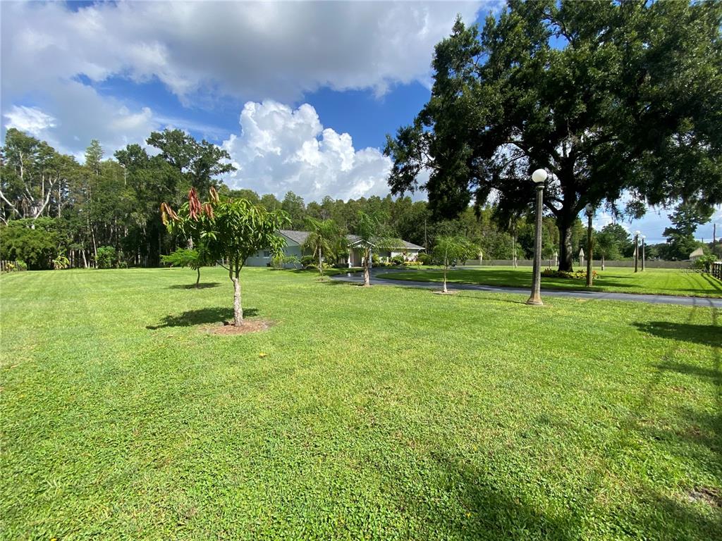 16918 Tobacco Road Lutz, FL 33558 - Photo 5 of 99 Gallery Image 5