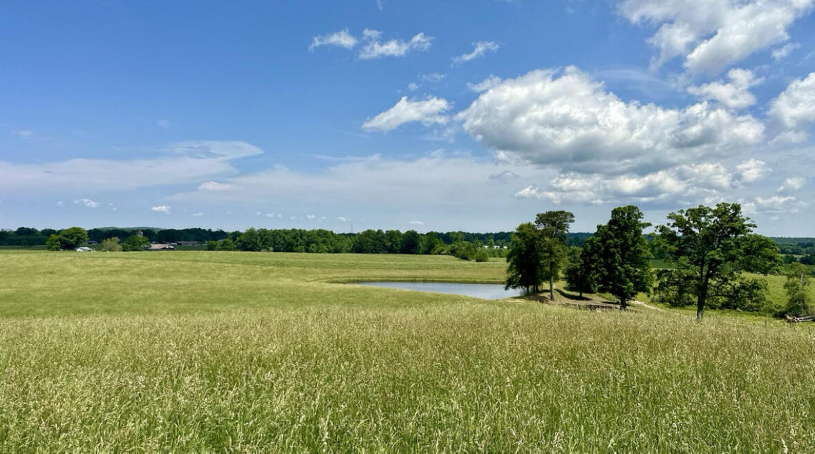 4431 Riggs Road Pikeville, TN 37367 - Photo 22 of 33 IMG_0008