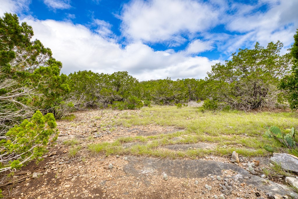 1702 Pinon Loop East Camp Wood, TX 78833 - Photo 7 of 19