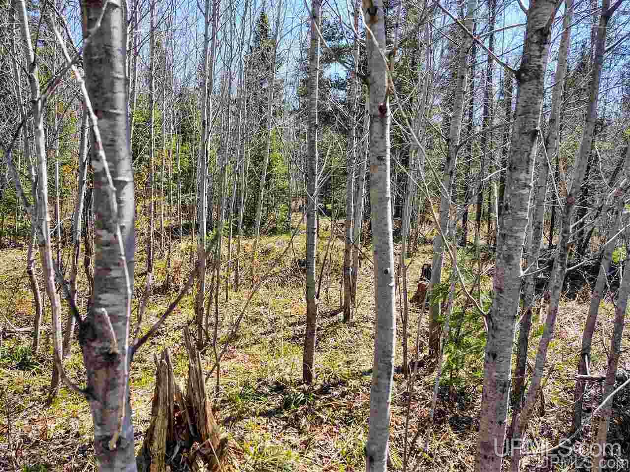 Tbd Forest Hwy 16 Road Iron River, MI 49935 - Photo 45 of 49