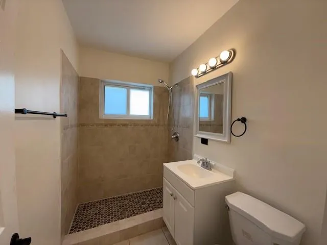a bathroom with a sink a toilet and mirror