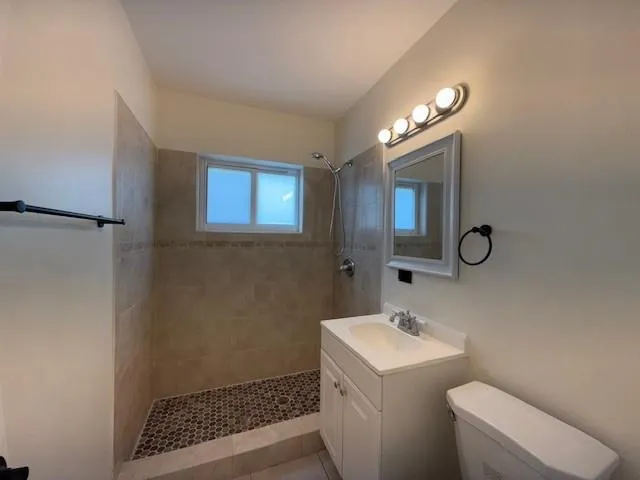 a bathroom with a toilet a sink and mirror
