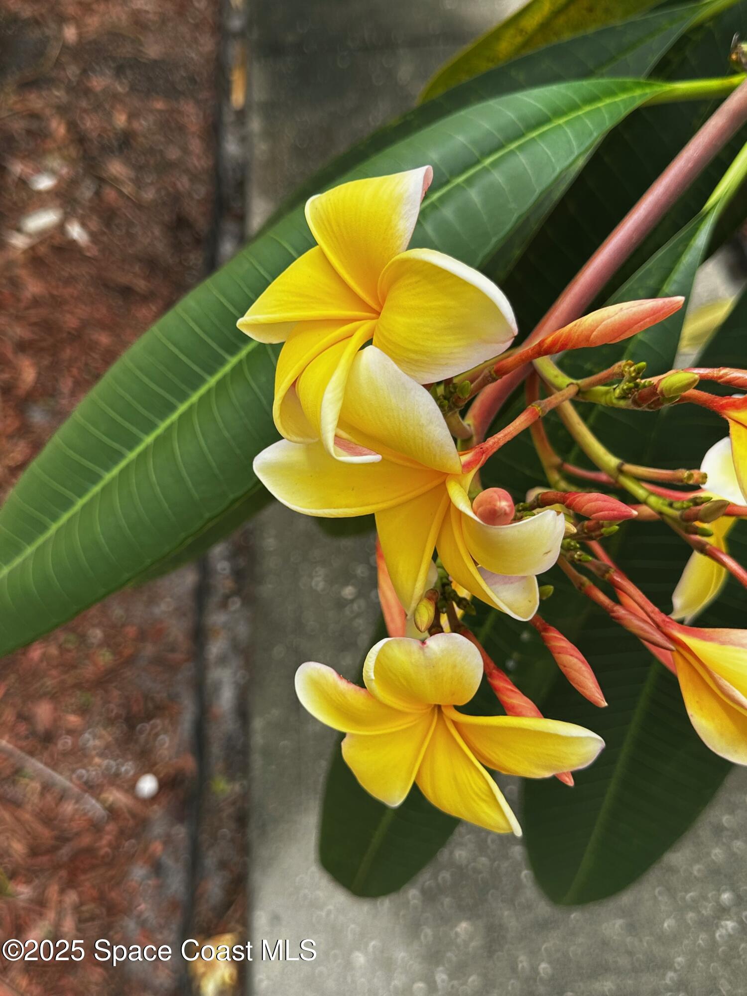 2710 Park Pl Boulevard, Unit 4 Melbourne, FL 32935 - Photo 7 of 16 a bathroom with a sink and mirror