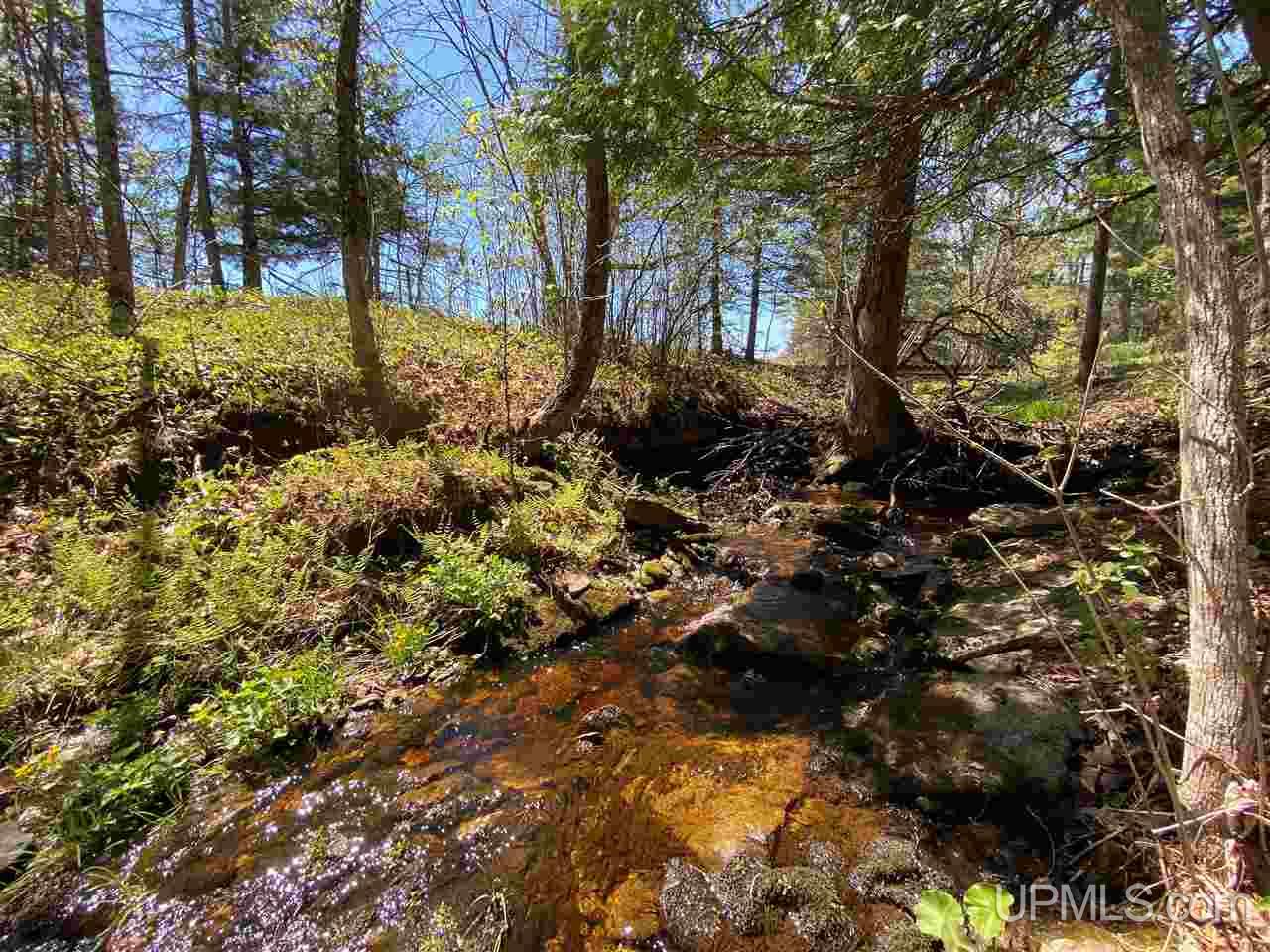 9935 22nd Road Rapid River, MI 49878 - Photo 22 of 36 Gallery Image 22