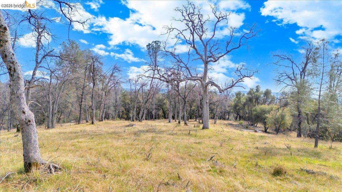 0 Montgomery Road Sonora, CA 95370 - Photo 13 of 31
