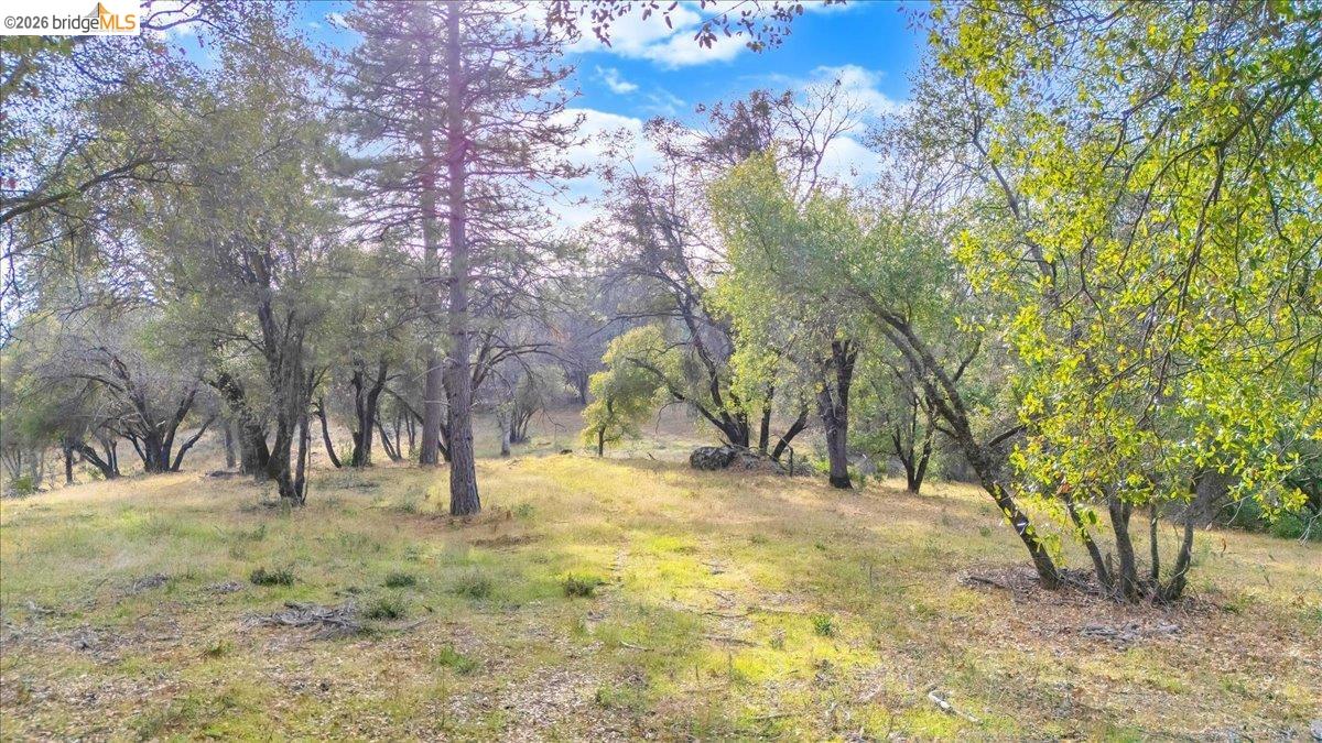0 Montgomery Road Sonora, CA 95370 - Photo 19 of 31 a view of open space with trees