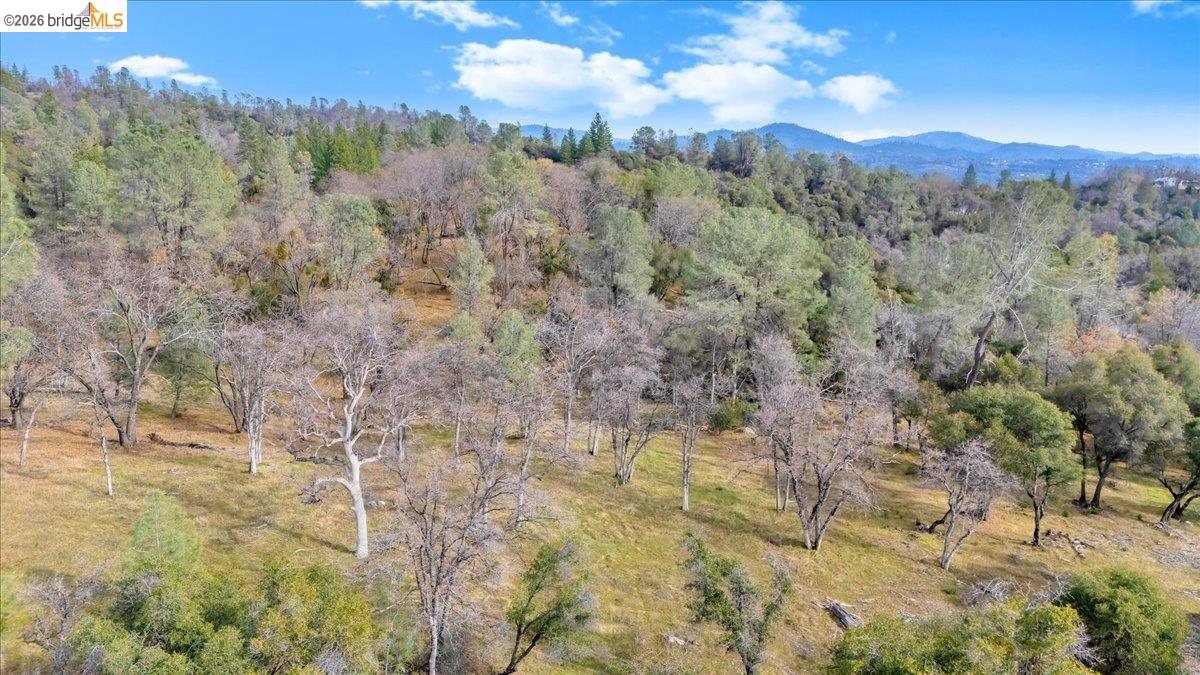 0 Montgomery Road Sonora, CA 95370 - Photo 24 of 31 a view of a city with lush green forest