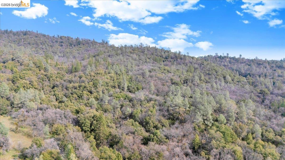 0 Montgomery Road Sonora, CA 95370 - Photo 30 of 31 a view of a forest