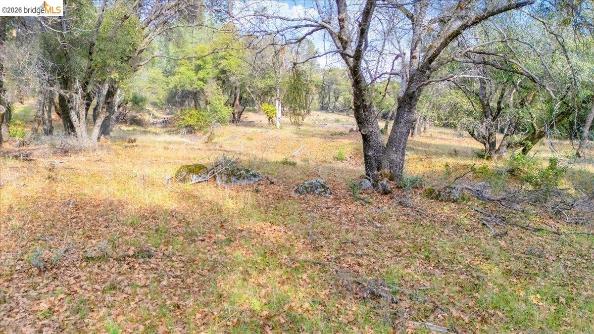 0 Montgomery Road Sonora, CA 95370 - Photo 6 of 31 a view of a yard with large trees
